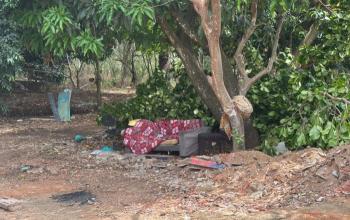 Moradores alertam: Parque Ecológico do Gama volta a ter movimentação irregular horas após operação