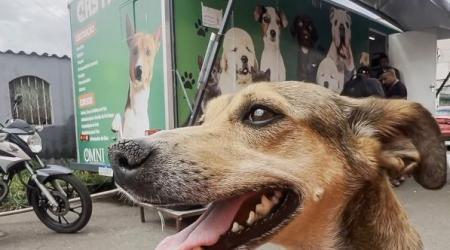 Projeto Castra-DF chega ao Sol Nascente: 1.500 vagas para castração gratuita de cães e gatos abertas a todos os moradores do DF