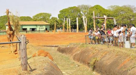 Funcionamento dos serviços públicos no DF no feriado de Finados