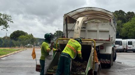Operação dá destinação correta a resíduos verdes no DF; saiba como funciona
