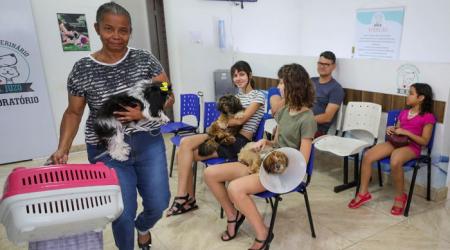 Programa de castração do GDF já atendeu mais de 700 animais em fevereiro