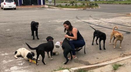 Quer ser o melhor amigo dos pets de rua? Saiba como salvar os animais do frio