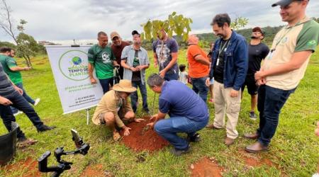 Distrito Federal terá Dia de Plantar uma muda nativa do Cerrado neste domingo
