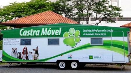 Projeto Castra-DF chega à Estrutural: 1.500 vagas para castração gratuita de cães e gatos abertas a todos os moradores do DF