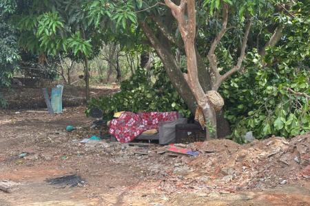 Moradores alertam: Parque Ecológico do Gama volta a ter movimentação irregular horas após operação