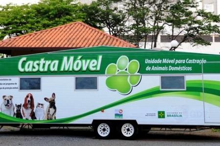Projeto Castra-DF chega à Estrutural: 1.500 vagas para castração gratuita de cães e gatos abertas a todos os moradores do DF
