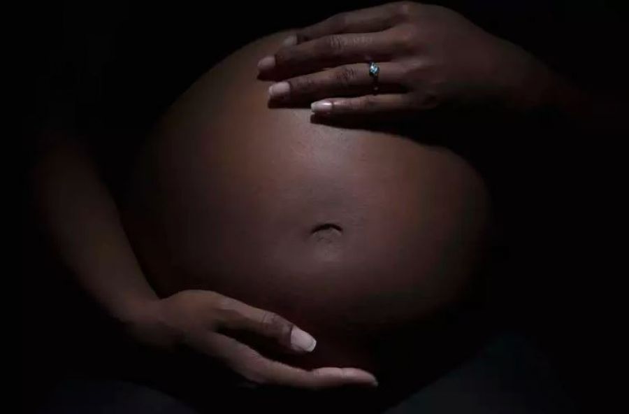 Os casos de dengue sofreram aumento significativo. Gestantes devem estar atentas às complicações da doença