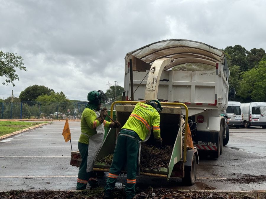 Além da coleta dos resíduos verdes, a Novacap realiza diariamente o recolhimento dos resíduos depositados em locais inadequados | Foto: Kiko Paz/Novacap