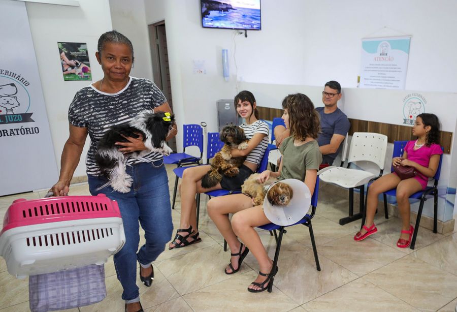 Ao longo de 2024, a Secretaria Extraordinária de Proteção Animal (Sepan-DF) atingiu a marca de 15.611 castrações realizadas | Fotos: Paulo H. Carvalho/Agência Brasília